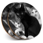 2 x Coasters bw - Cute Kittens Black Tabby Ginger Cat  #43908