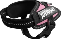 Julius-K9 K9 Idc Sele, Str.: Baby 1, Rosa 29-36 Cm