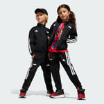 adidas Marvel Spider-Man Tiro Suit Kids