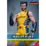 Hot Toys Marvel Deadpool & Wolverine - Deluxe Wolverine 1:6 Scale Action Figure