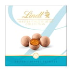 Lindt Master Chocolatier Collection Salted Caramel Chocolate Truffles Box 135g