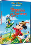 PENNITÖN JA SURUTON (DVD)