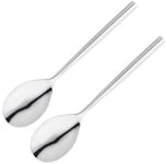 NEW Stellar Set Of 2 Serving Spoons Stainless Steel Silver Highest Quality 18 1