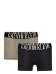 2Pk Trunk Night & Underwear Underwear Underpants Multi/patterned Calvin Klein