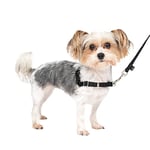 PetSafe Harnais pour chien Easy Walk