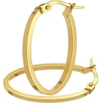 9ct Yellow Gold Hoop Earrings 2.3cm Long Oval Shape by Citerna