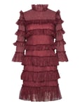 Malina Carmine Frill Mini Lace Dress Burgundy