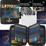 Castle Art Supplies Gold Standard 72 Colouring Pencils Set with Extras | Quality Oil-based Coloured Cores Stay Sharper, Tougher Against Breakage | For Adult Artists, Colourists | In Zipper Case