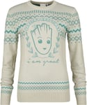 Guardians Of The Galaxy Groot Knit jumper multicolour