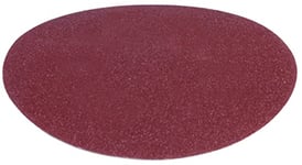 FERM Jeu de 10 Disques d'abrasive 150 mm P60/P100/P150