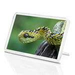 1 x Bush Viper Snake Nature Wild Classic Fridge Magnet - Kitchen #2248