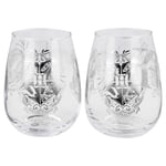 Harry Potter Glas 2-pack