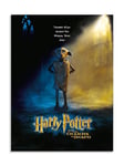 Poster Cristal Dobby Harry Potter