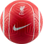 Nike Liverpool FC Strike