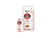 Brit Fresh Beef With Pumpkin Puppy Large Growth &Amp  Joints - Torrt Hundfoder - Nötkött 12 Kg