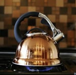 STAINLESS STEEL 3.5L WHISTLING KETTLE GAS ELECTRIC  INDUCTION HOBS COPPER