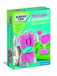 Clementoni | Kit Complet pour créer Un modèle Anatomique 7 Ans + | Mini Labo d'Anatomie | Éducatif | Science et Jeu | Découvrir Le Corps Humain | Fabriqué en Italie | Cadeau pour Enfants