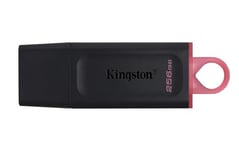 Kingston DataTraveler Exodia DTX/256GB Flash Drive USB 3.2 Gen 1 - with Protective Cap and Keyring in Multiple Colours