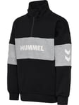 Hummel Heron Half Zip Genser Black