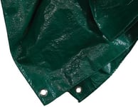 Siena Garden 671077 PE bâche de Protection 4X 6m Vert Vert