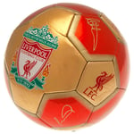 Liverpool FC Football Signature Ball Size 5 Official LFC Merchandise 2023