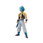 Figure-rise Standard Dragon Ball SUPER SAIYAN GOD SUPER SAIYAN GOGETA Kit NE FS