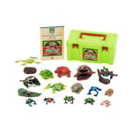 Colorata Frogs Real Action Figure Box Frog living in Central and South Ameri FS