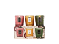 Voluspa Demi Candle Set - Foraged Wildberry, Baltic Amber, Temple Moss