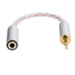 Ljudadapterkabel Hane till Hona Headset Konverteringskabel Adapter för ZX300A HiFiman 2.5mm Balanserad Hane till 3.5mm Stereo Hona