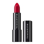 EVAGARDEN Classy Lipstick - Formulated with Natural Oils - Envelopes Your Skin with Satin Effect - Light, Pigmented Blend Gives Full Coverage and Chic Finish Instantly - 613 American Beauty - 0.1 oz