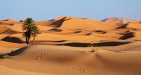 Morocco Sand dunes of Sahara desert