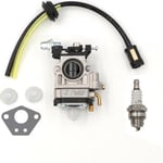 5en1 Carburateur & Joint Kit 15mm pour Débroussailleuse Multifonctions52cc 49cc 43c