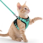 rabbitgoo Harnais Chat Anti évasion avec Laisse Vert XXS, Harnais Chaton Petit Chien Réglable, Collier Harnais et Laisses pour Chat Refléchissant Attache Dessus Gilet Respirant pour Lapin Chat Chiot