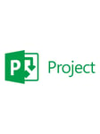 Microsoft Project Lite - abonnemangslicens ( 1 mån