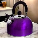 Whistling Stovetop Kettle Metallic Purple Stainless Steel Gas Electric Induction