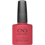 Shellac Love Letter