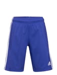 U 3S Wn Short Blue Adidas Sportswear