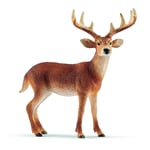 SCHLEICH - Figurine de l'univers des animaux sauvages - Cerf de Virginie -  -...