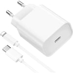 Chargeur rapide 20W + Cable pour iPad 4 5 6 7 8 9 iPad Air Génération 1 2 3 iPad Pro 1ère 2 ème génération iPad mini 1 2 3 4 5 - 1 mètre - Straße Tech ®