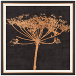 John Lewis Charlotte Oakley 'Copper Allium' Framed Print & Mount, 36 x 36cm, Dark Grey/Metallic