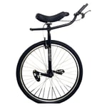 AHAI YU 28 Pouces Adultes monocycles pour Gros Enfants/Adolescents/Votre père (Hauteur de 160-195cm), Professionnels Un vélo à Roues pour Sports de Plein air Exercice