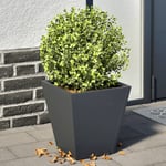 Vidaxl Jardinières 2 Pcs Anthracite 30x30x30 Cm Acier