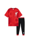 Liverpool Fc Mens Pyjama Set - Bottoms And T-Shirt Short Sleeves Nightwear