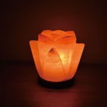 Himalayan Pink Crystal Rock Salt Flower Lamp Natural Air Purifying Table Lamp