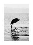 Wee Blue Coo Vintage Photo Man Dead Sea Umbrella Book Jordan Palestine Wall Art Print