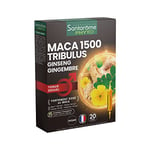 Santarome Bio Phyto - Maca 1500 Tribulus Ginseng Gingembre - Complément alimentaire Tonus Sexuel - Tonifiant sexuel - 20 ampoules - Made In France - Végan