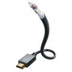 HDMI-kabel (HDMI 2.1, 10K/UHD) - Star - in-akustik 1.0m