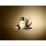 Dolce&Gabbana Herrdofter Pour Homme Eau de Toilette Spray 200 ml (4.825,00 kr / 1 l)