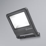 LEDVANCE Endura Floodlight LED-kohdevalaisin 50W