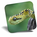 Awesome Fridge Magnet - Bush Viper Snake Nature Wild Cool Gift #2248